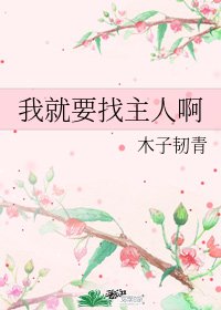 我就要找主人啊