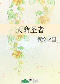 天命圣者